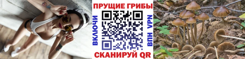 Галлюциногенные грибы прущие грибы  Верхнеуральск 